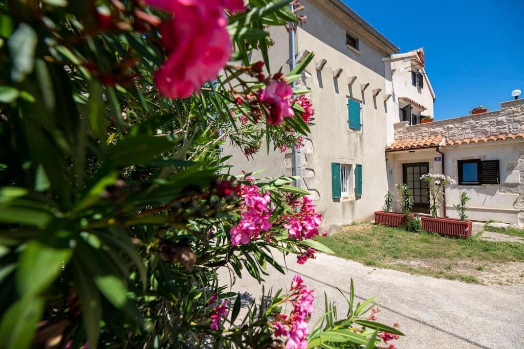 Apartman Luka Krnica Exterior foto